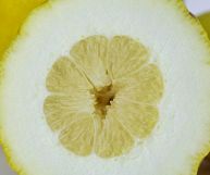 La scorza di cedro, molto utilizzata per aromatizzare dolci e per preparare un buonissimo liquore, è ricca di proprietà nutrizionali: scopriamo quali sono