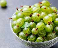 Deliziosa in marmellate o in salse agrodolci, l'uva spina è un frutto di bosco ricco di proprietà nutrizionali: scopriamo tutte le sue caratteristiche