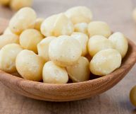 Molto utilizzate in cucina, le noci macadamia sono un ottimo spuntino e trovano ampio impiego nella realizzazione di squisiti dolci: ecco le loro proprietà