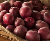 Le patate rosse, che possono essere impiegate normalmente al posto delle tradizionali patate, sono ricche di proprietà nutritive interessanti