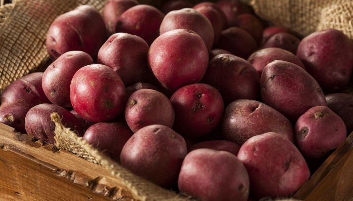Le patate rosse, che possono essere impiegate normalmente al posto delle tradizionali patate, sono ricche di proprietà nutritive interessanti