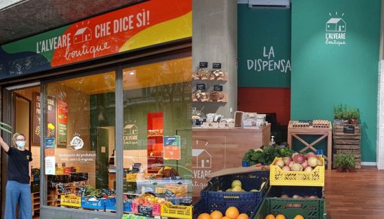 L'Alveare che dice sì!