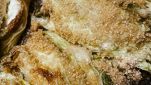 Involtini di Verza ripiena al forno