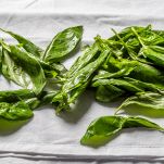 pesto alla siciliana