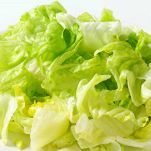 lattuga