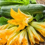Mondate i fiori di zucca