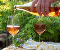 Valle d'Aosta DOC Rosato