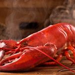 aragosta