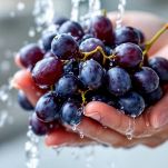 Preparazione dell'uva