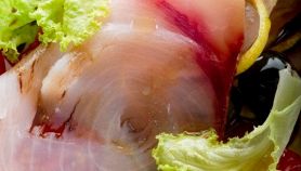 Carpaccio di pesce spada