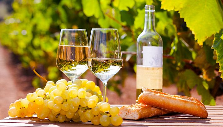 Bicchieri di vino Chardonnay Piemonte DOC