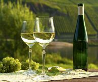 Bicchiere e bottiglia di Colli Tortonesi Moscato Bianco DOC