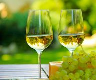 Calici di vino Falanghina DOC