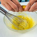 dreamstime_m_335583296