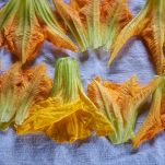 Fiori di zucca