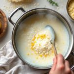 Composto di semolino in teglia.