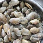 Spurgate le vongole immergendole in una bacinella con acqua