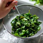 lavorazione degli spinaci