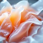 La preparazione della gelatina