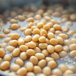 Fagioli all&#8217;uccelletto