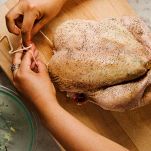 pollo