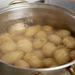 dreamstime_m_255626277