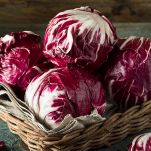 radicchio