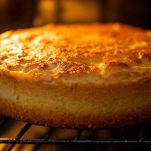 Torta per cani in forno