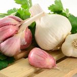 Strofinate l'interno delle orate con lo spicchio d'aglio sbucciato, salate, pepate a piacere e farcite con il trito di finocchietto. Irroratele il pesce con olio d’oliva, assicurandovi di coprire tutta la superficie.