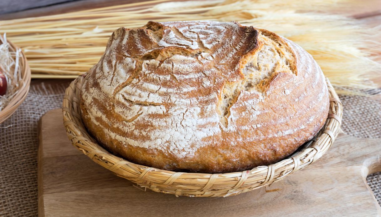 Come si usa il cestino di lievitazone del pane 