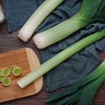 porri