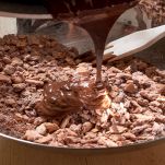 composto di biscotti