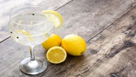 Gin Tonic