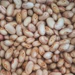 Mettete i fagioli secchi in una ciotola capiente