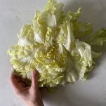 tempimagegqyduy