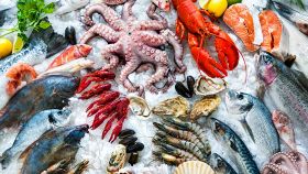 Calendario della stagionalità del pesce