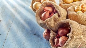conservare le cipolle