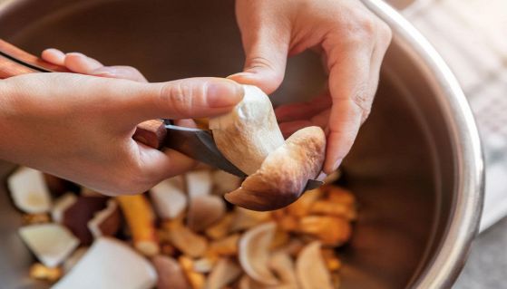 Funghi porcini interi