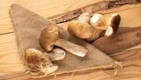 Come scongelare (e cucinare) i funghi porcini