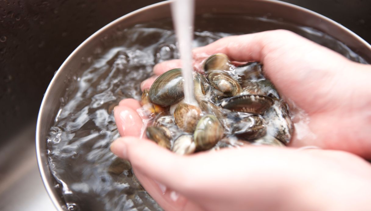 Come pulire le vongole_step_1