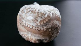 Come scongelare il polpo velocemente