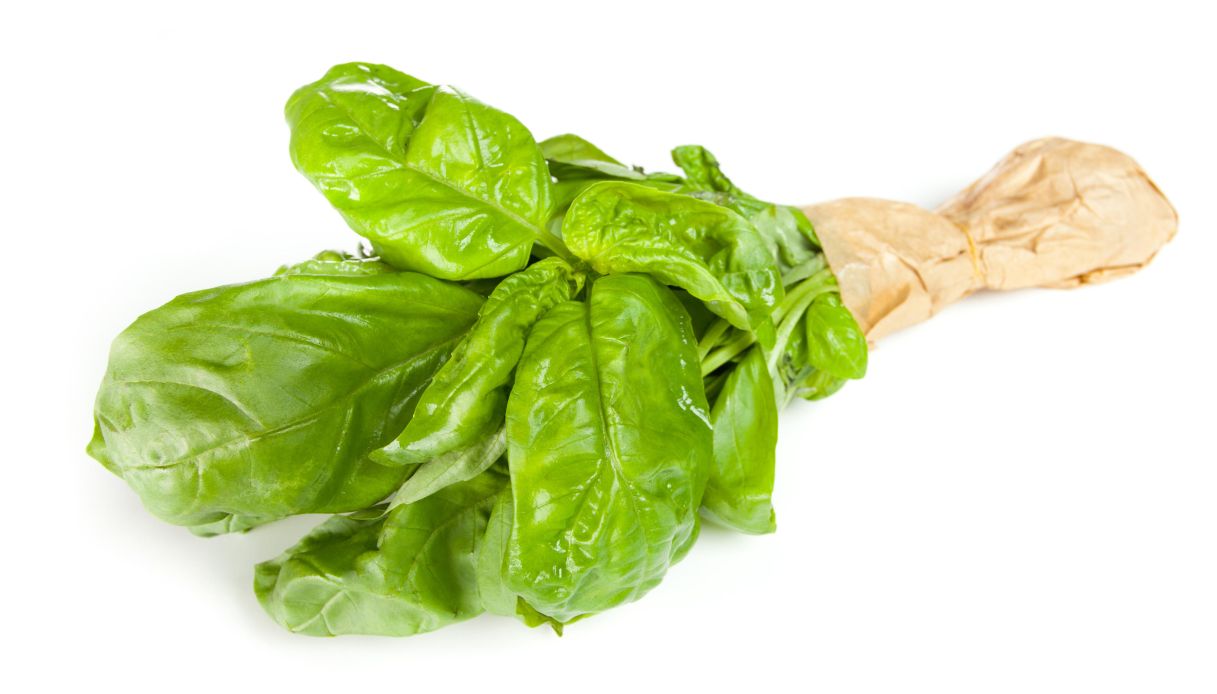 Come conservare il basilico_step_1