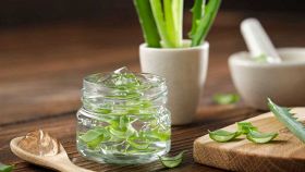 Come usare l’aloe per le bruciature
