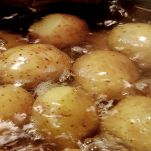 dreamstime_m_127089462