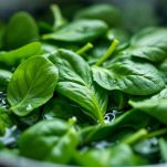 La preparazione degli spinaci