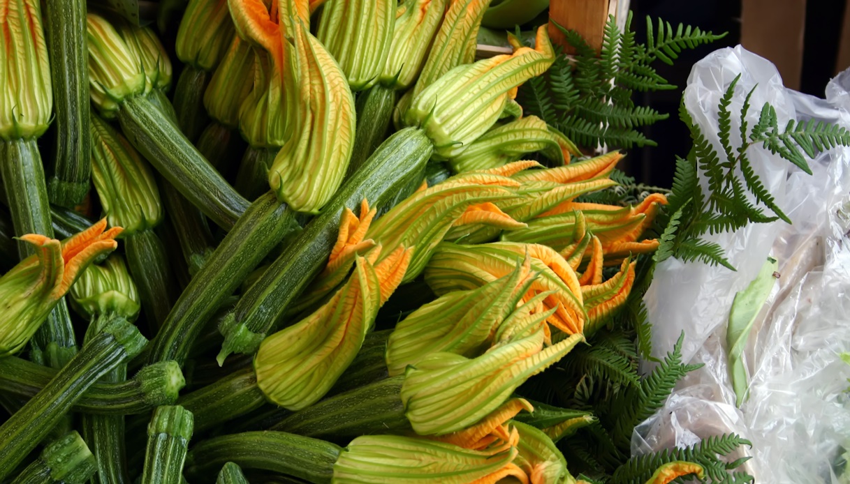 Tipi di zucchine e fiori di zucca