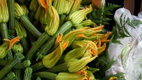 Zucchine e fiori di zucca