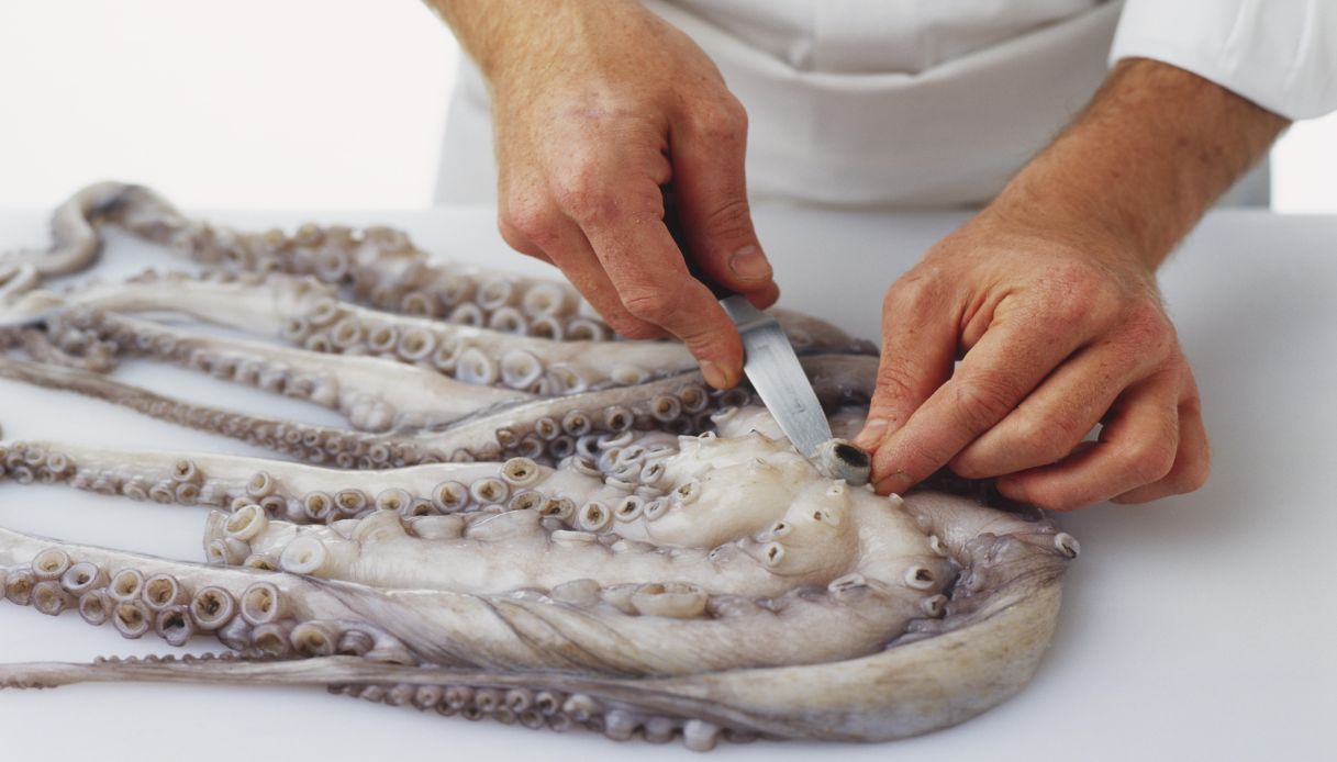 Come pulire il polpo_step_2