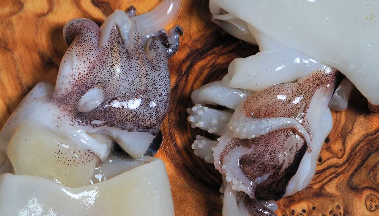 Come pulire le seppie_step_3