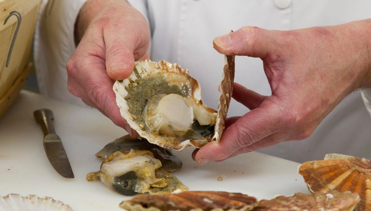 Come pulire le capesante_step_1